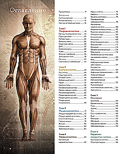 Anatomia człowieka. Wizualny przewodnik po wszystkich systemach organizmu: norma i patologie